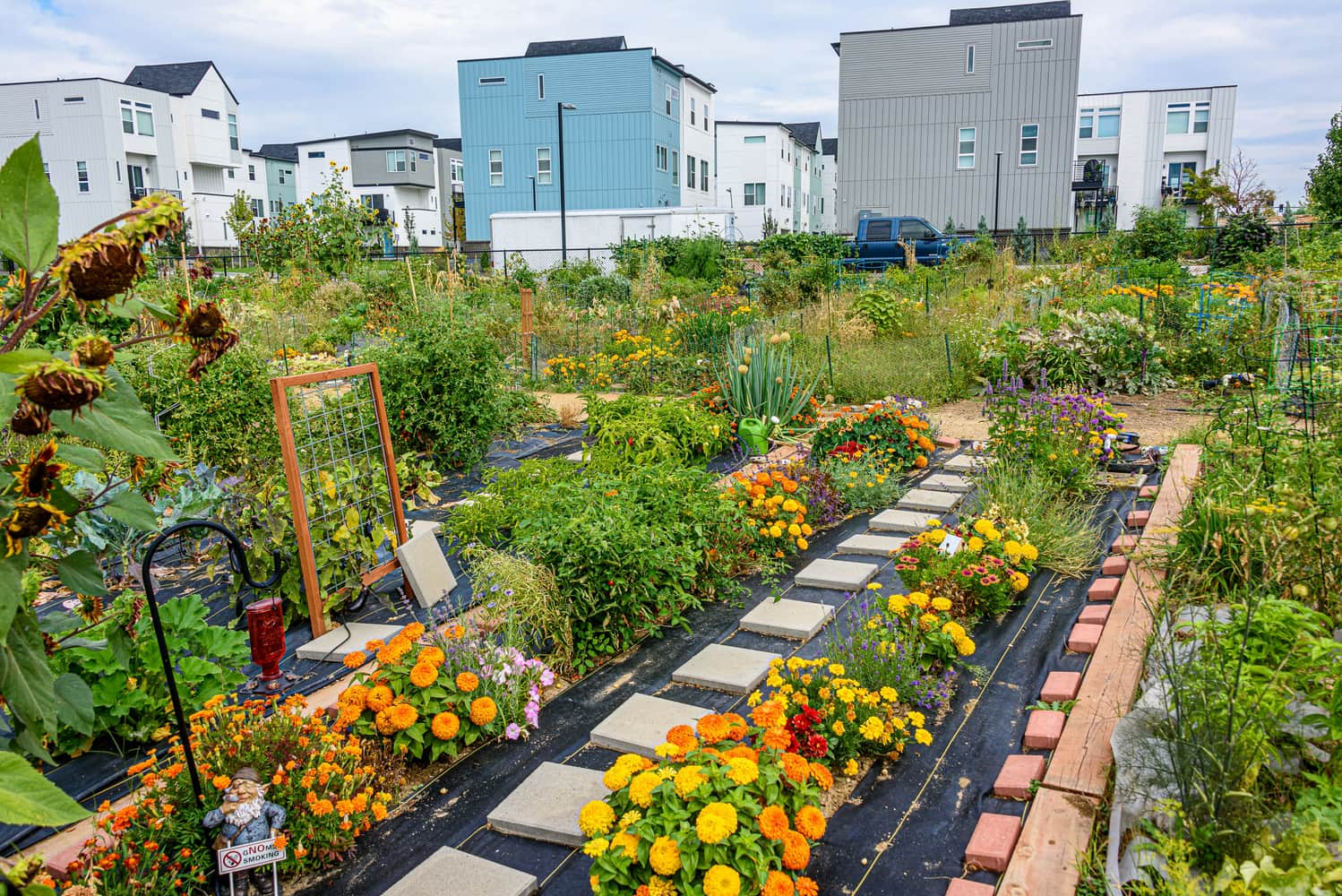 The Impact of Community Gardens Versus Rooftop Farms on Urban Spaces